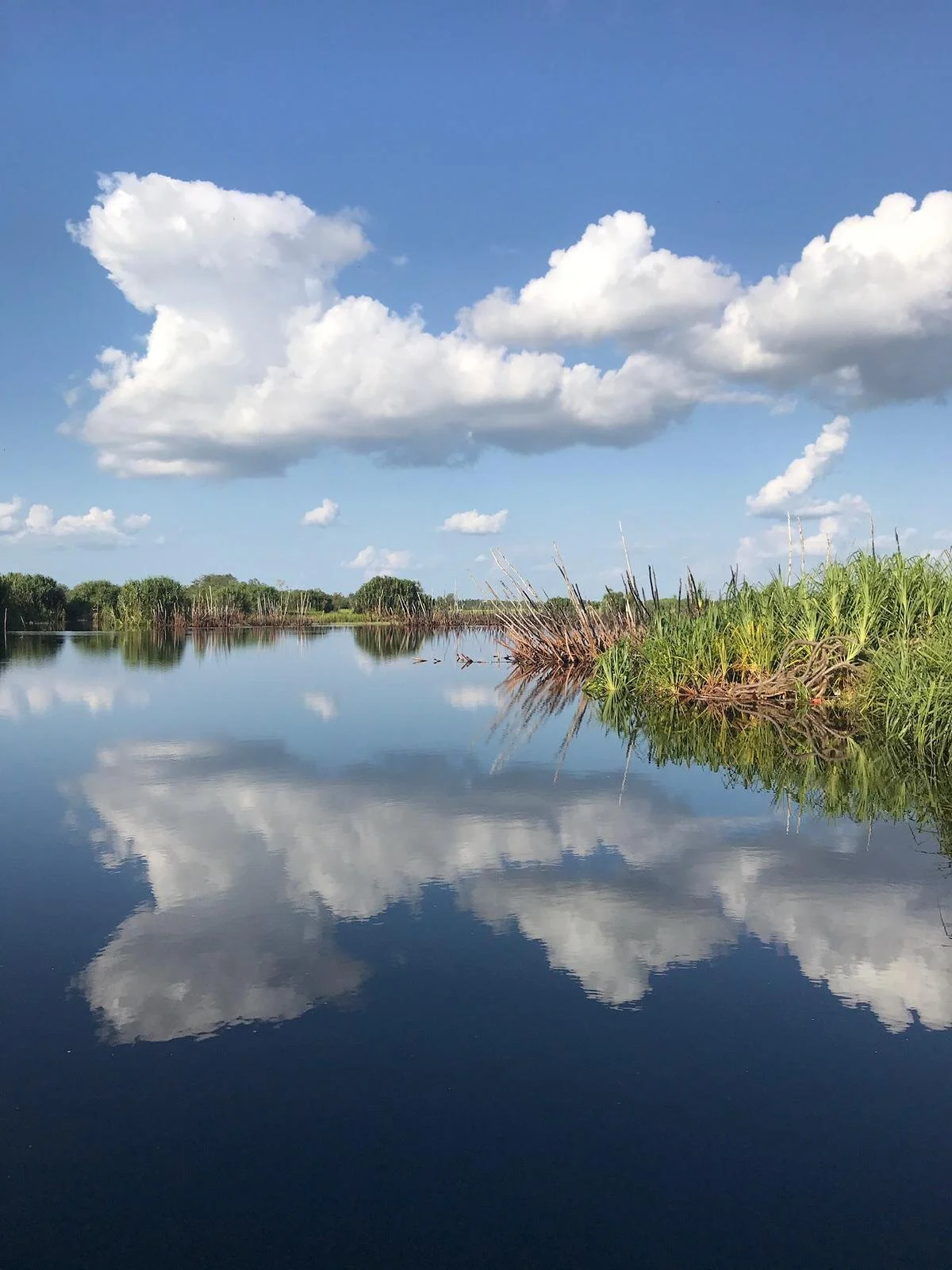 Examining Relokasi — Gioia Montana Connell