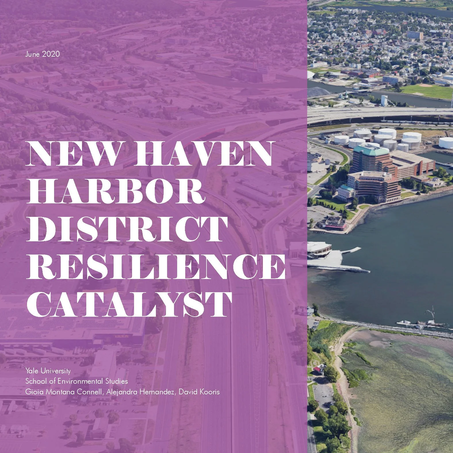 Resilience Catalyst_Page_001.jpg