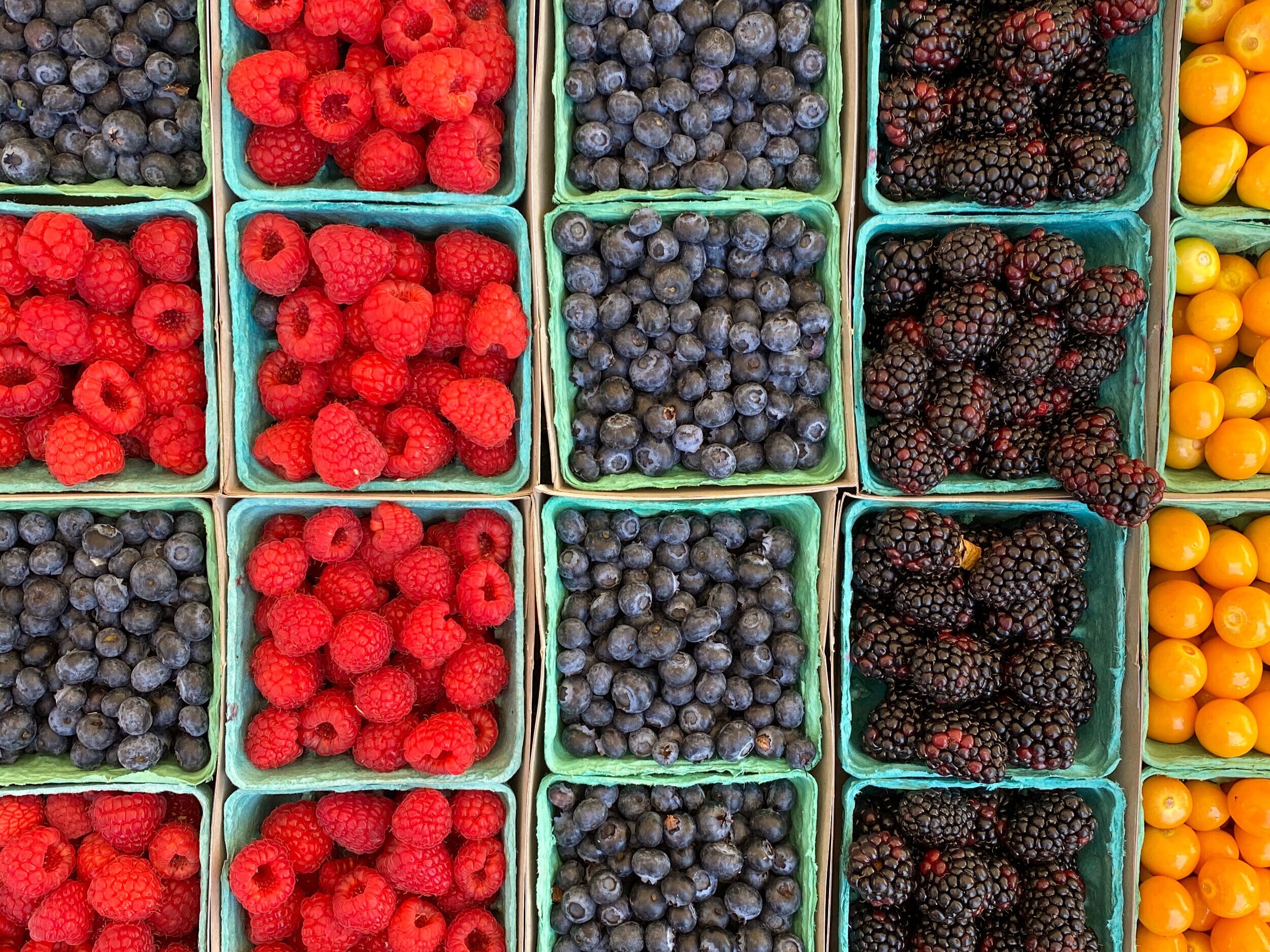 Farmers Market Heaven