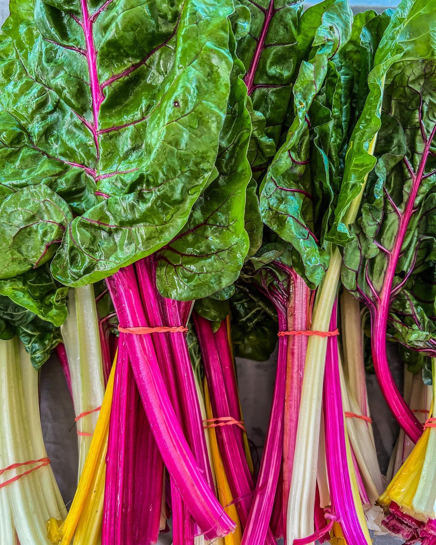 Spring (summer?) farmers market finds.

Get out there this weekend and support your local growers! @grownyc_brooklyn @unsqgreenmarket @grownyc 

#bk #👨&zwj;🌾
