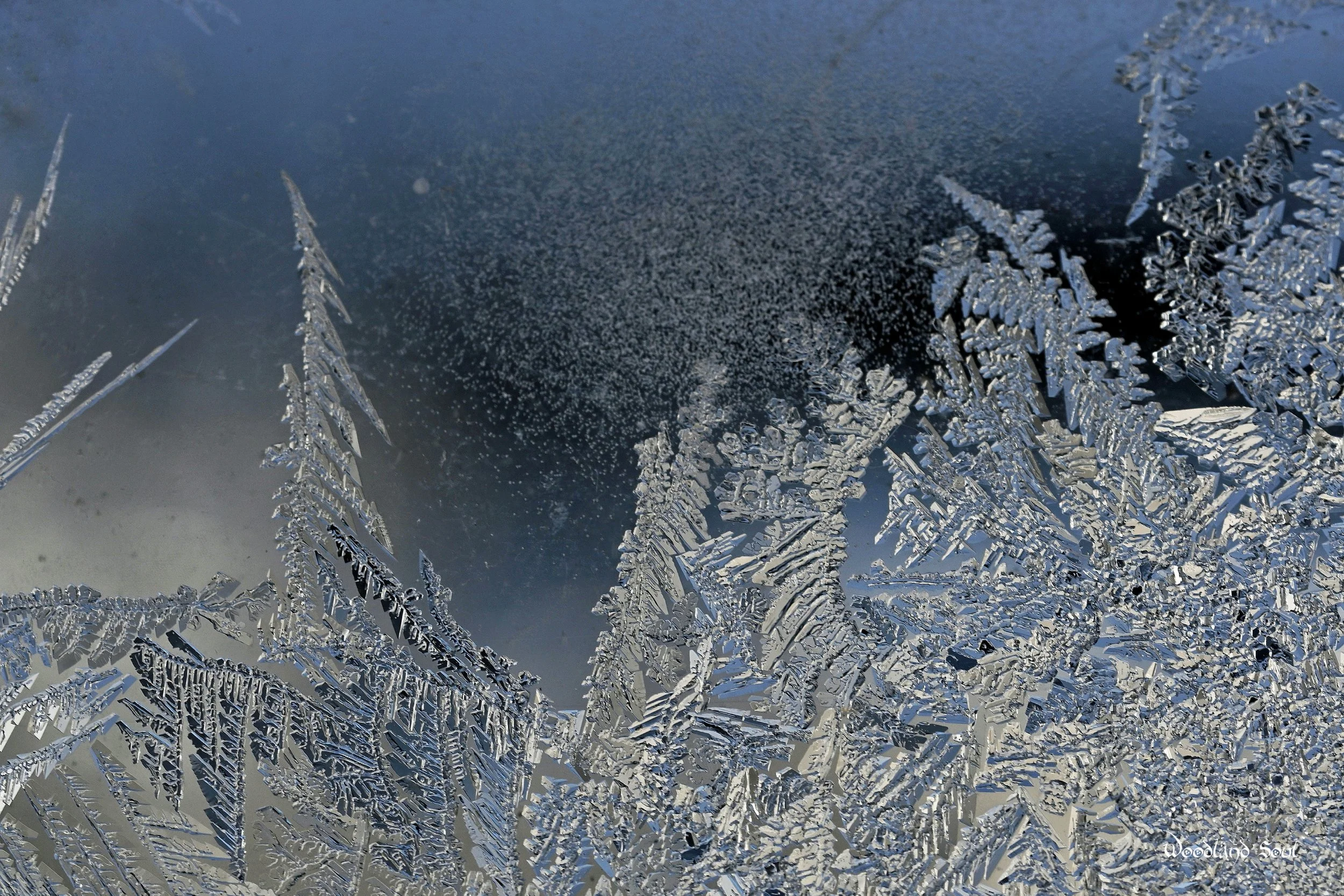 icescape.jpg