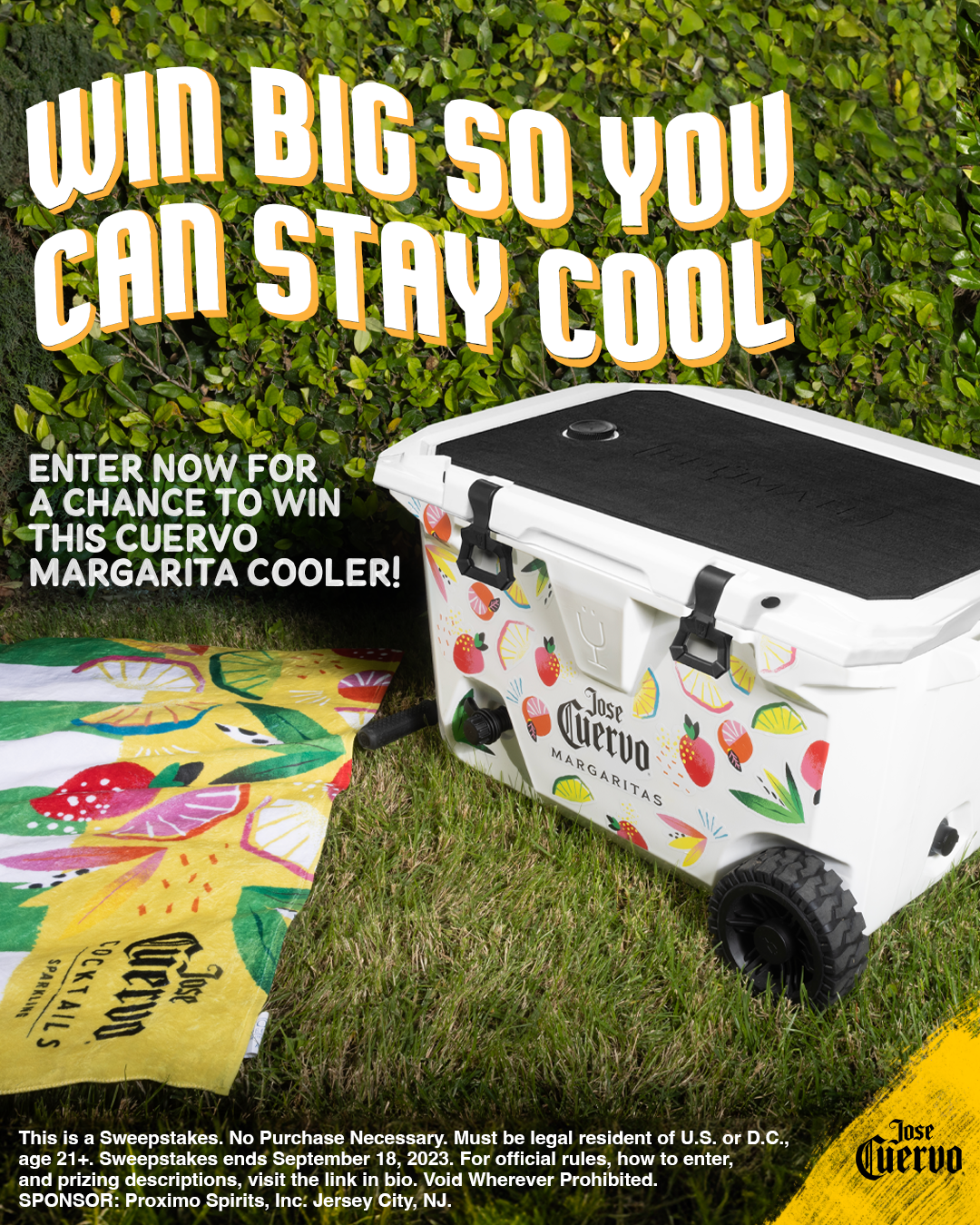 CRVO-Cooler-Static-4x5_3.png