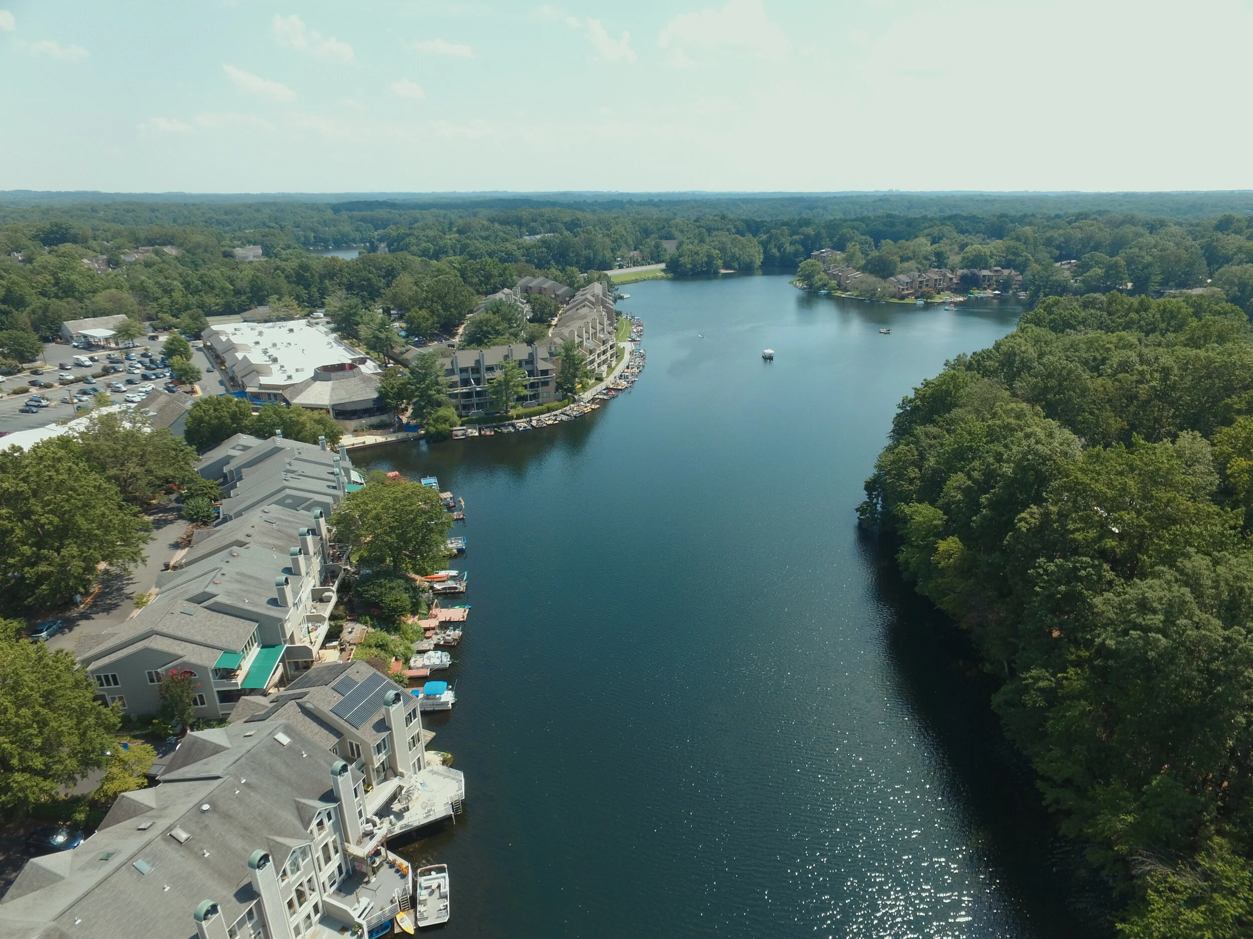 RA Receives Lab Results on Lake Thoreau Algae — Reston Association