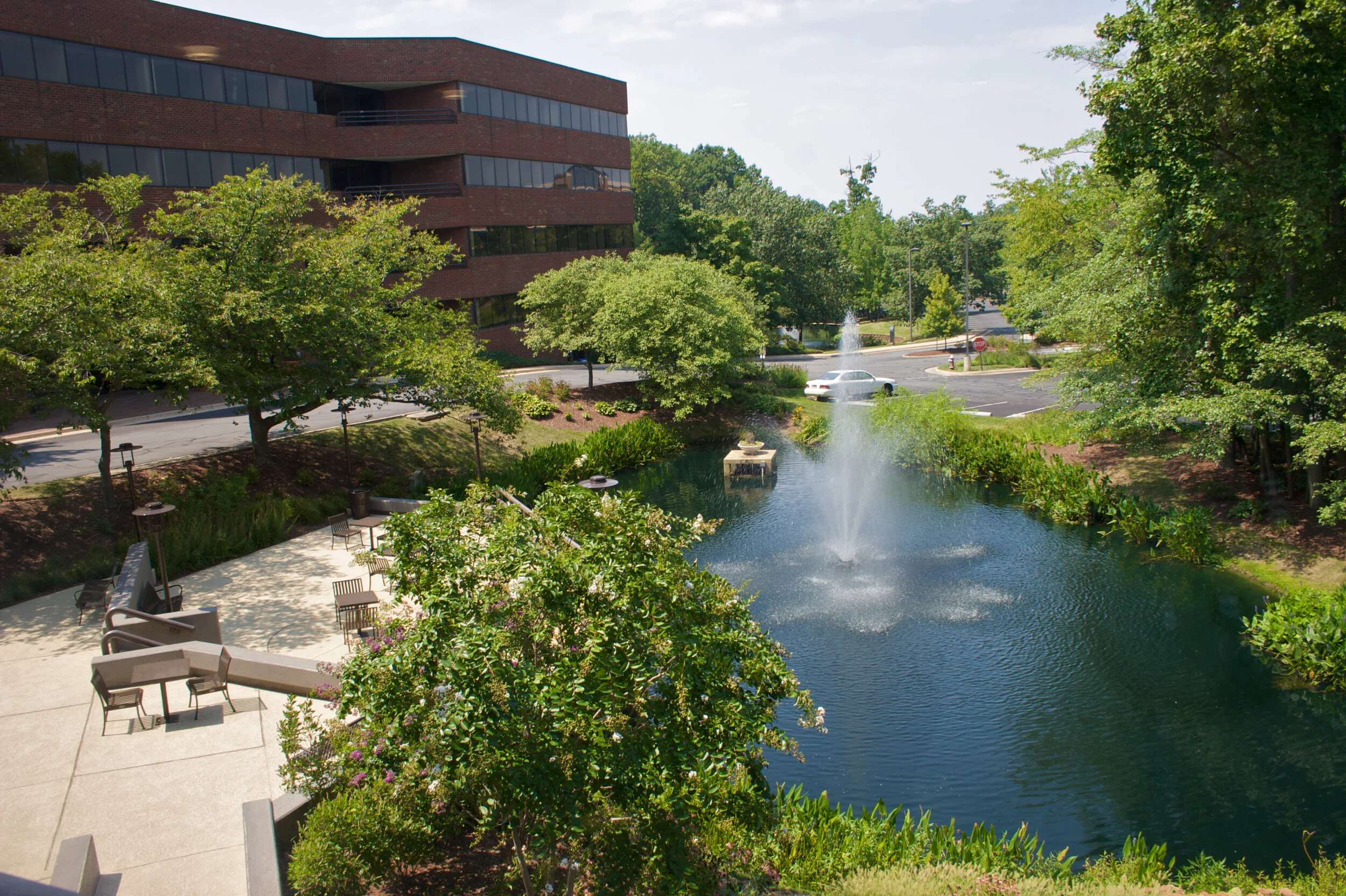 Board of Directors Election (Copy) — Reston Association