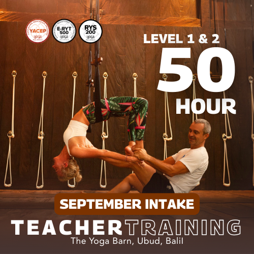 6-Day 50h FlyHighYoga® Teacher Training — Level 1 & Level 2 (September 2026, Ubud, Bali)