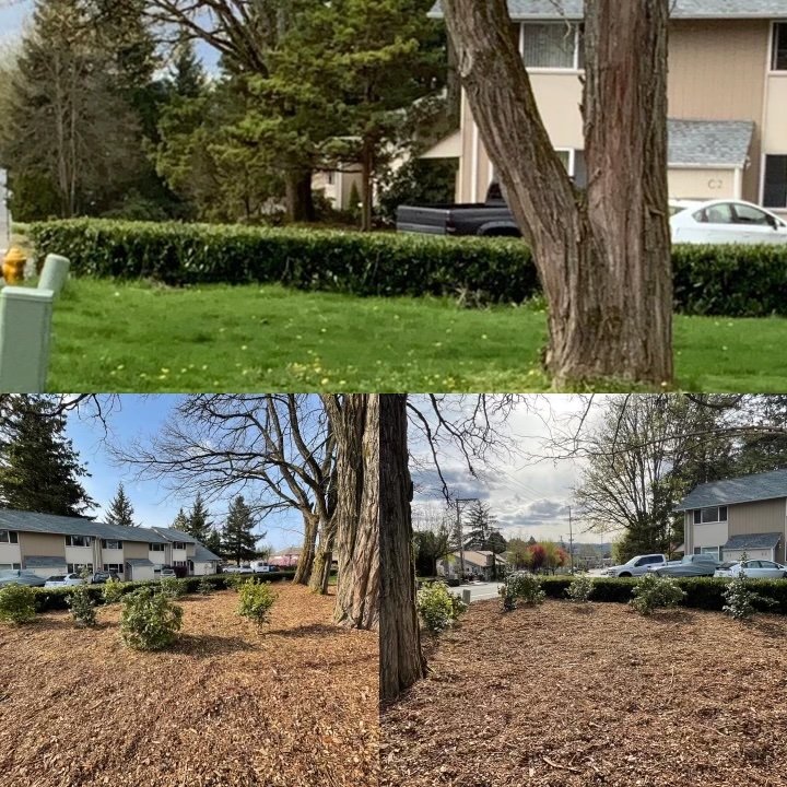 Small_project_planting_5.jpeg