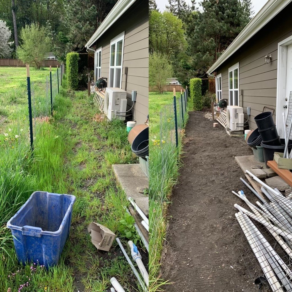 Property Maintenance.jpeg