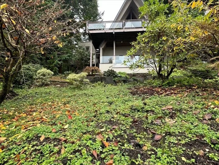 RestorationPlanting_before.jpeg