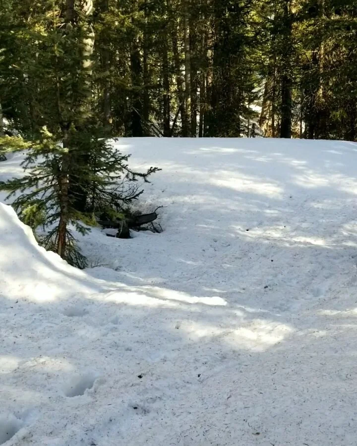 Sabrina (1995 film) visual data 6