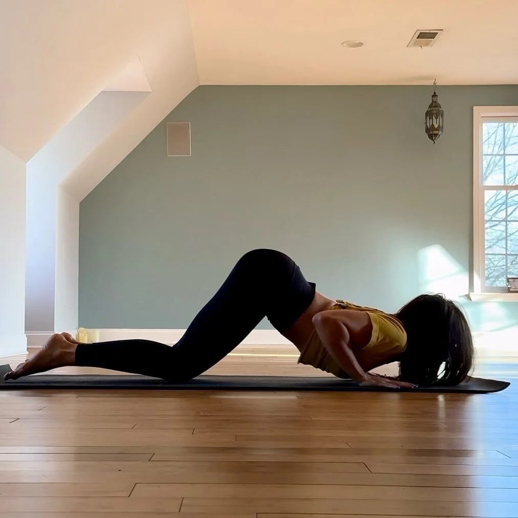 Push and Pull Yourself
Work with and against
Find containment and freedom
Strength and space
Tension and expansion

.
.
.
.
.
#awakeningyoga #awakeningvinyasa #upwardfacingdog #yogatechnique #yogaflow #yogastudiodesign