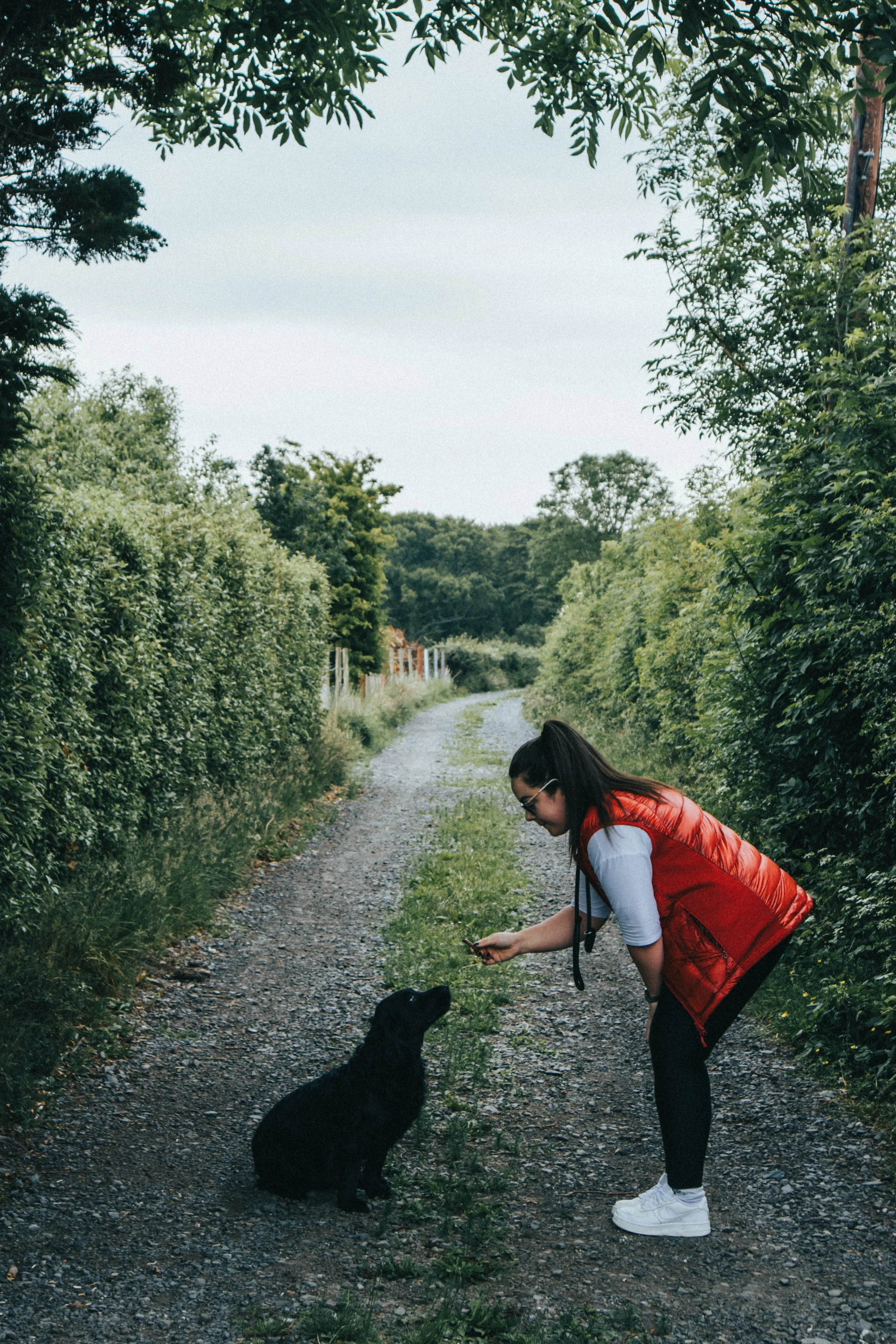 kyle-mackie-rZvsn7R6EA4-unsplash.jpg