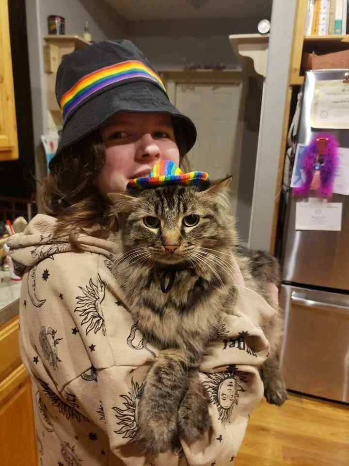 A person wearing a black bucket hat with a rainbow stripe, holding a tabby cat with a rainbow hat in a kitchen.