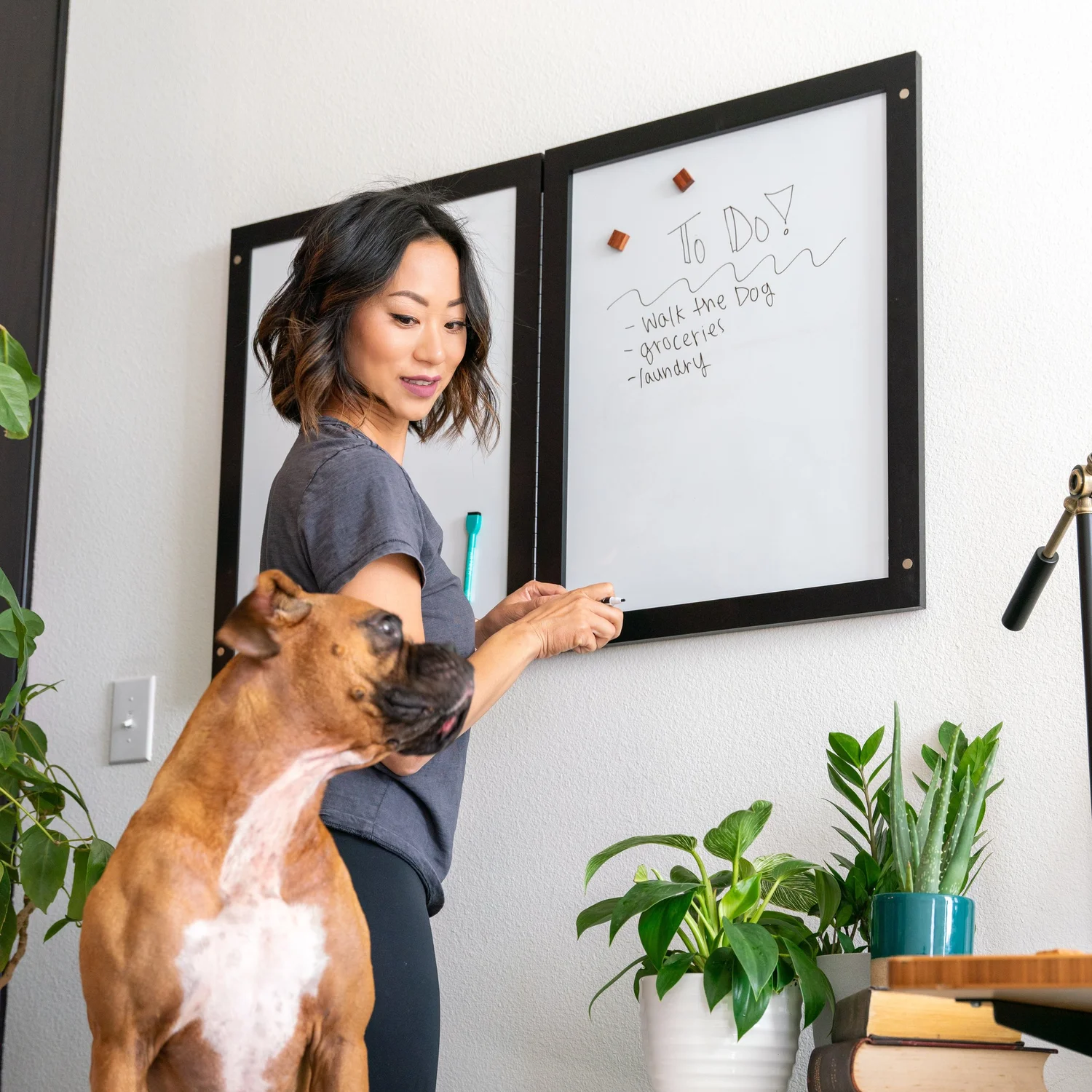 5 Steps to Establish a Perfect Pet Routine — Funky Bunch Pet Care LLC