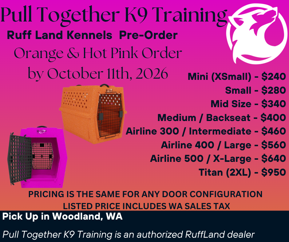 Orange &amp; Hot Pink for October 2026