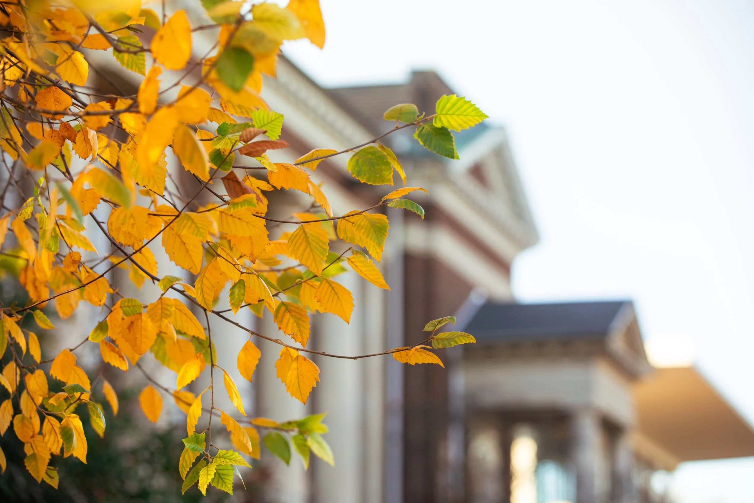 Fall_Scenics_2024-35 - Large.jpg