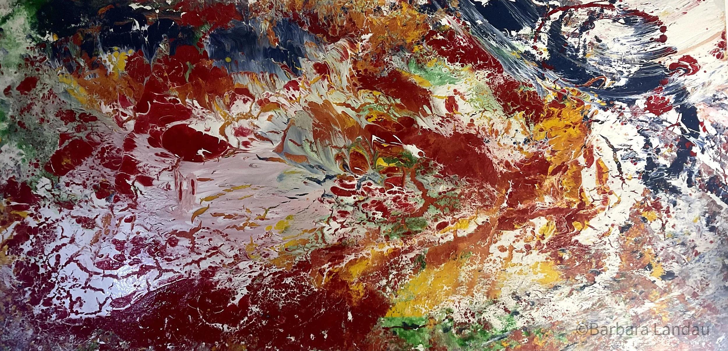 Cosmic View ©️2022 Barbara Landau - Latex on Cavas -20" x 40" x 1.5"