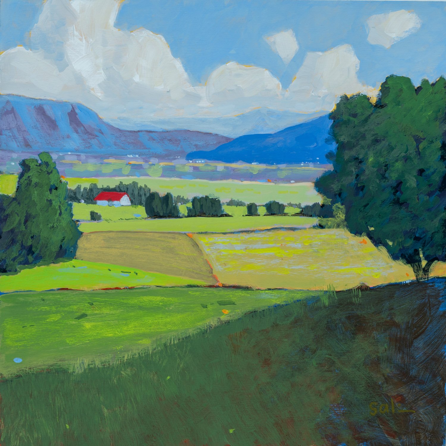 GSalisbury_Green Valley 10x10 Acrylic CPanel.jpg