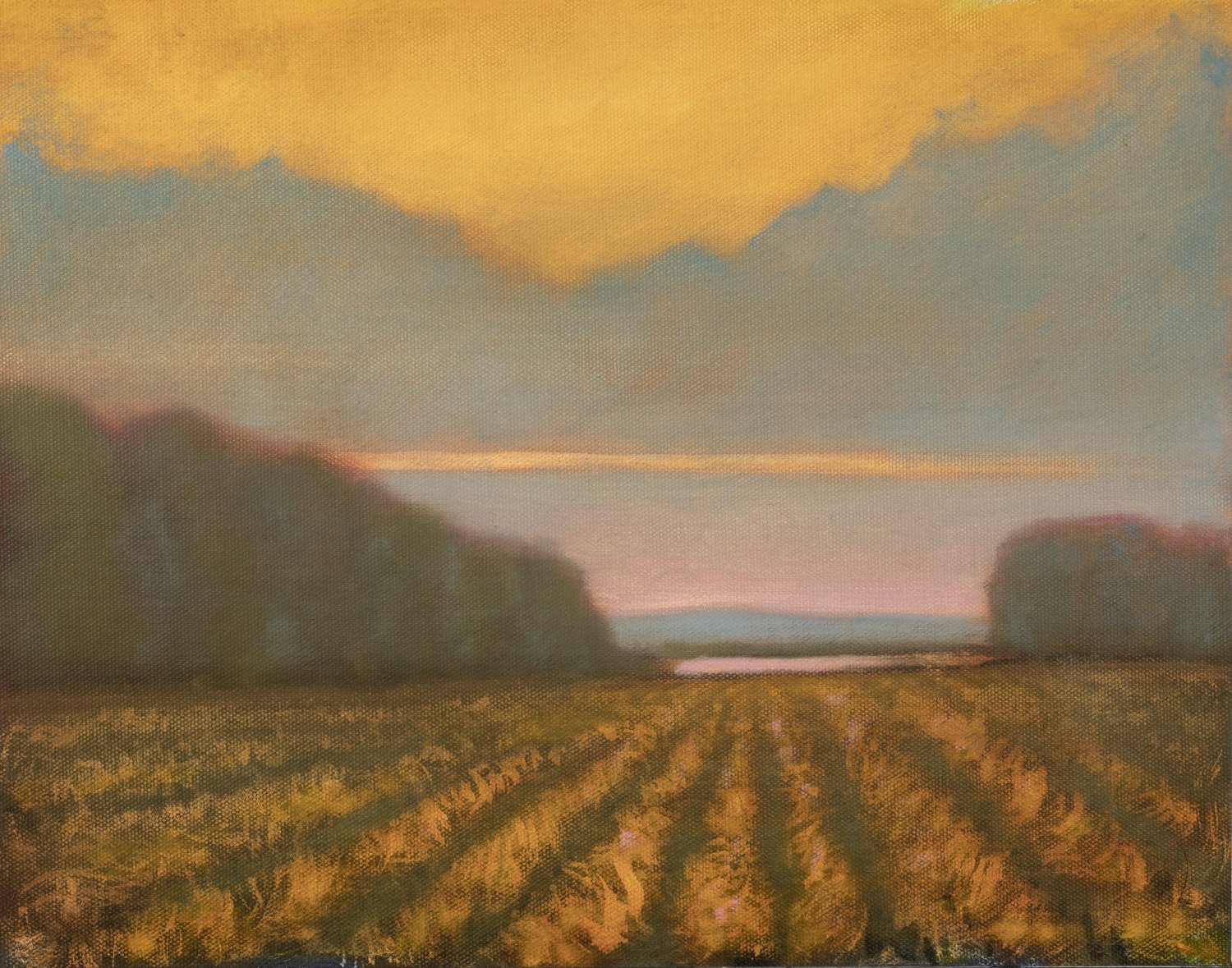 GSalisbury_Summer Dawn 14x11 Oil-Acrylic.jpg