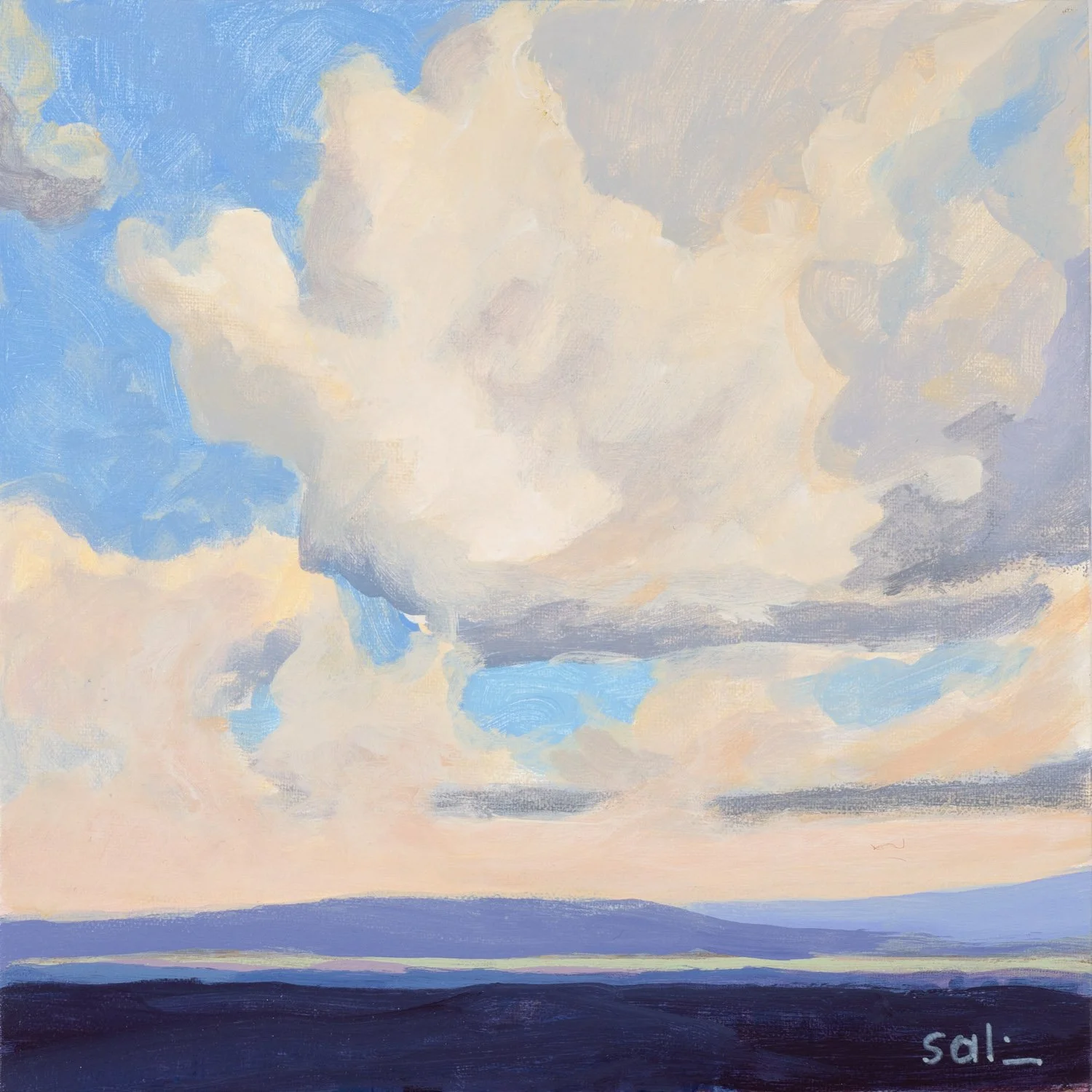 GSalisbury_Sky Command 8x8 Acrlylic.jpg