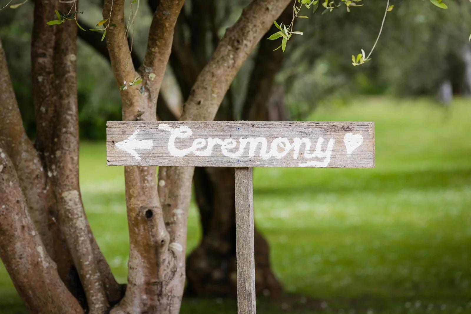 ATEIA Photography & Video - www.ATEIAphotography.com.au - Melbourrne Wedding Photography (482 of 1204).jpg