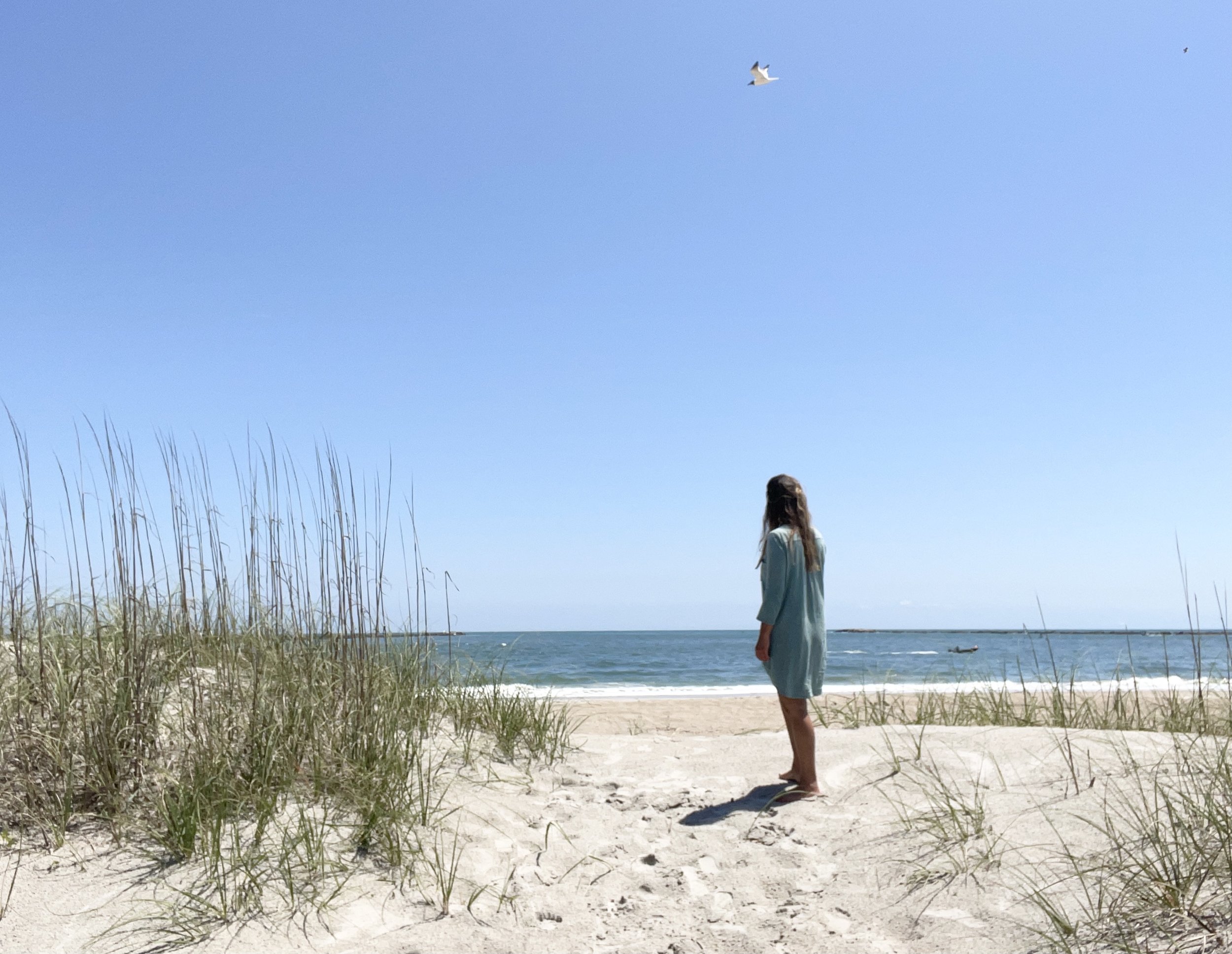 Daily Dose of Nature