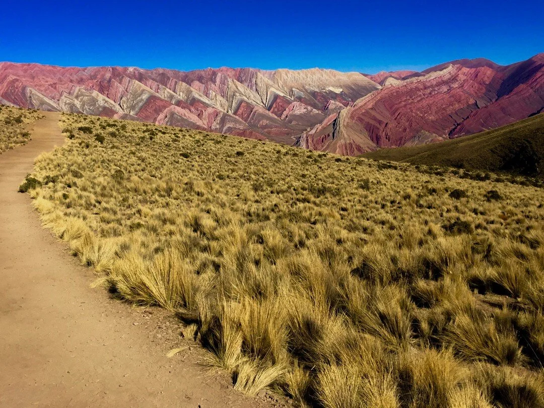 The inspiration for the next stop on my #earthday tour started out in Montreal. My wife and I stumbled upon a caf&eacute; that had mat&eacute; on the menu and, as she often does, my wife started a conversation with the owner. He was from Argentina, a