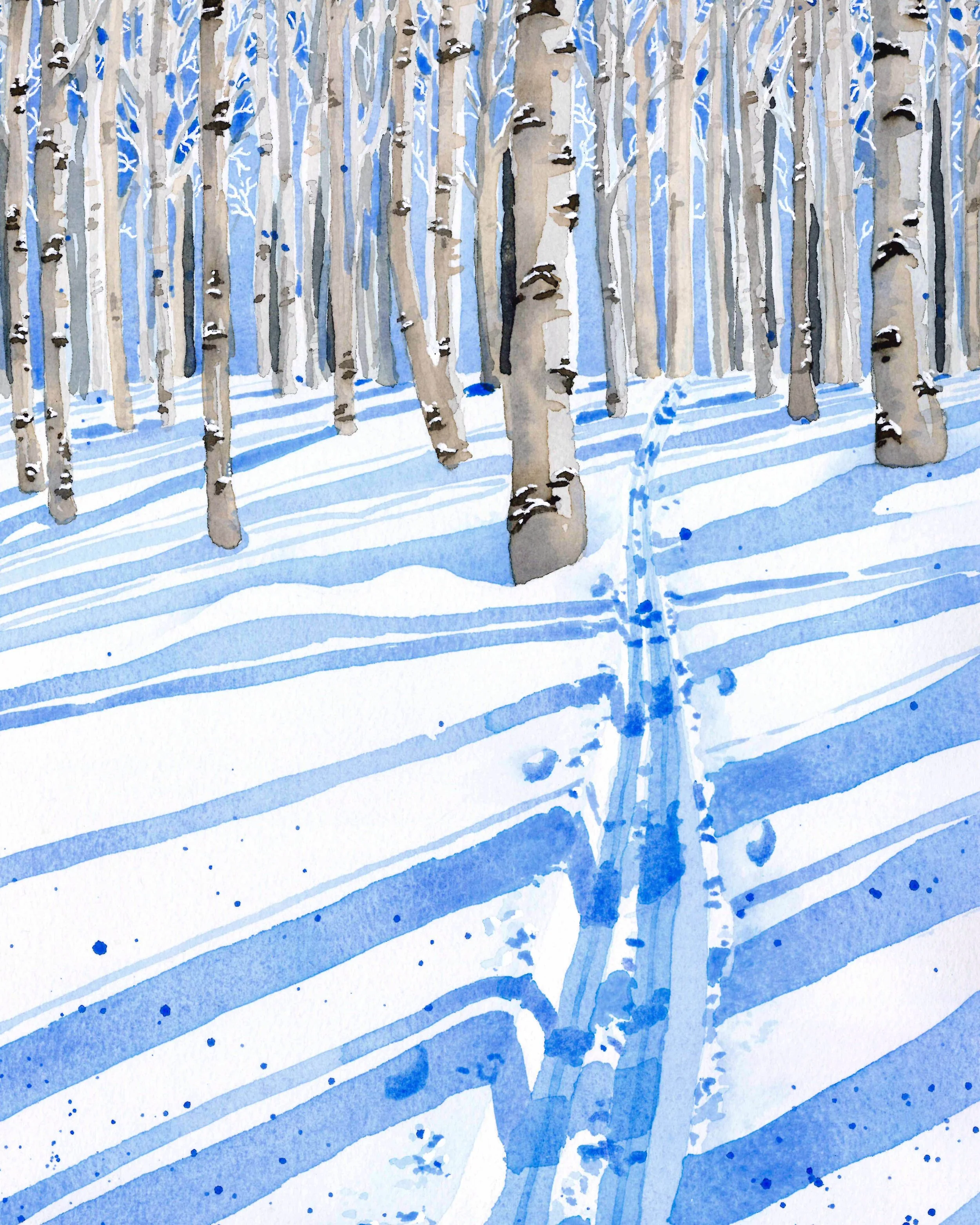 Copy of springshadows.jpg