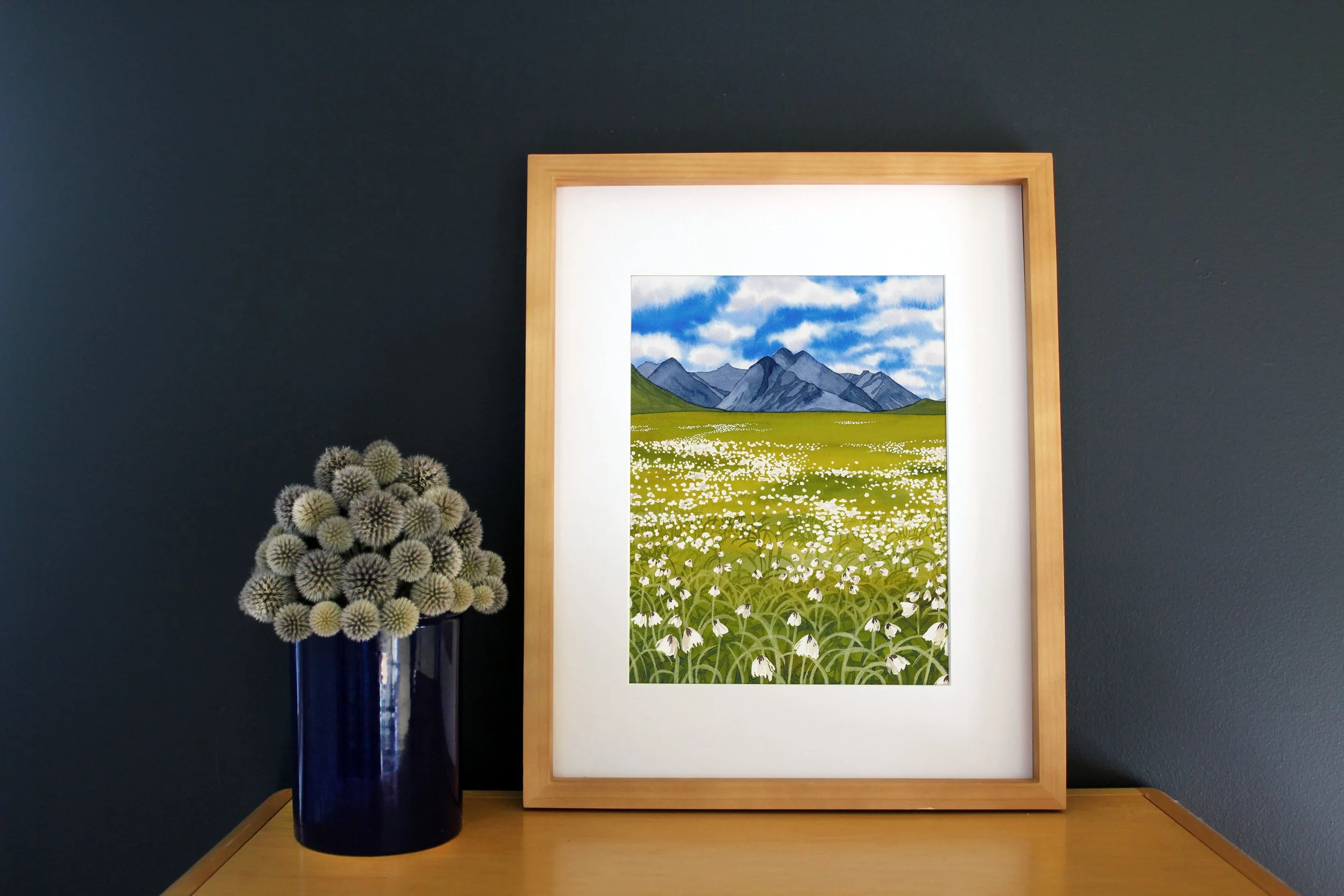 cottongrass_framed.jpg