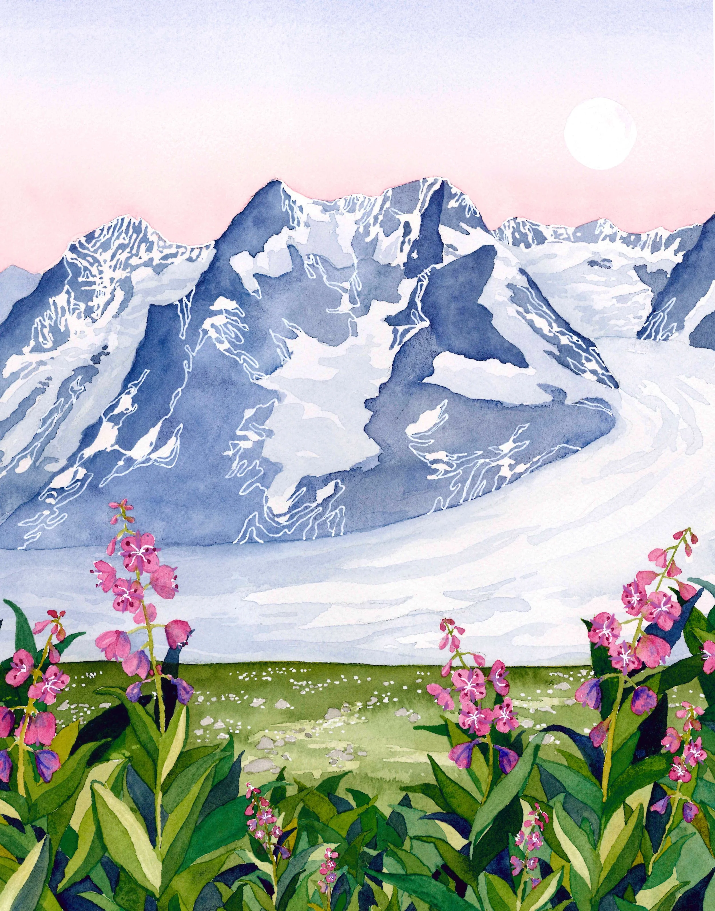 Land of Ice and Fireweed | 11x14" | Original watercolor on paper | 2024