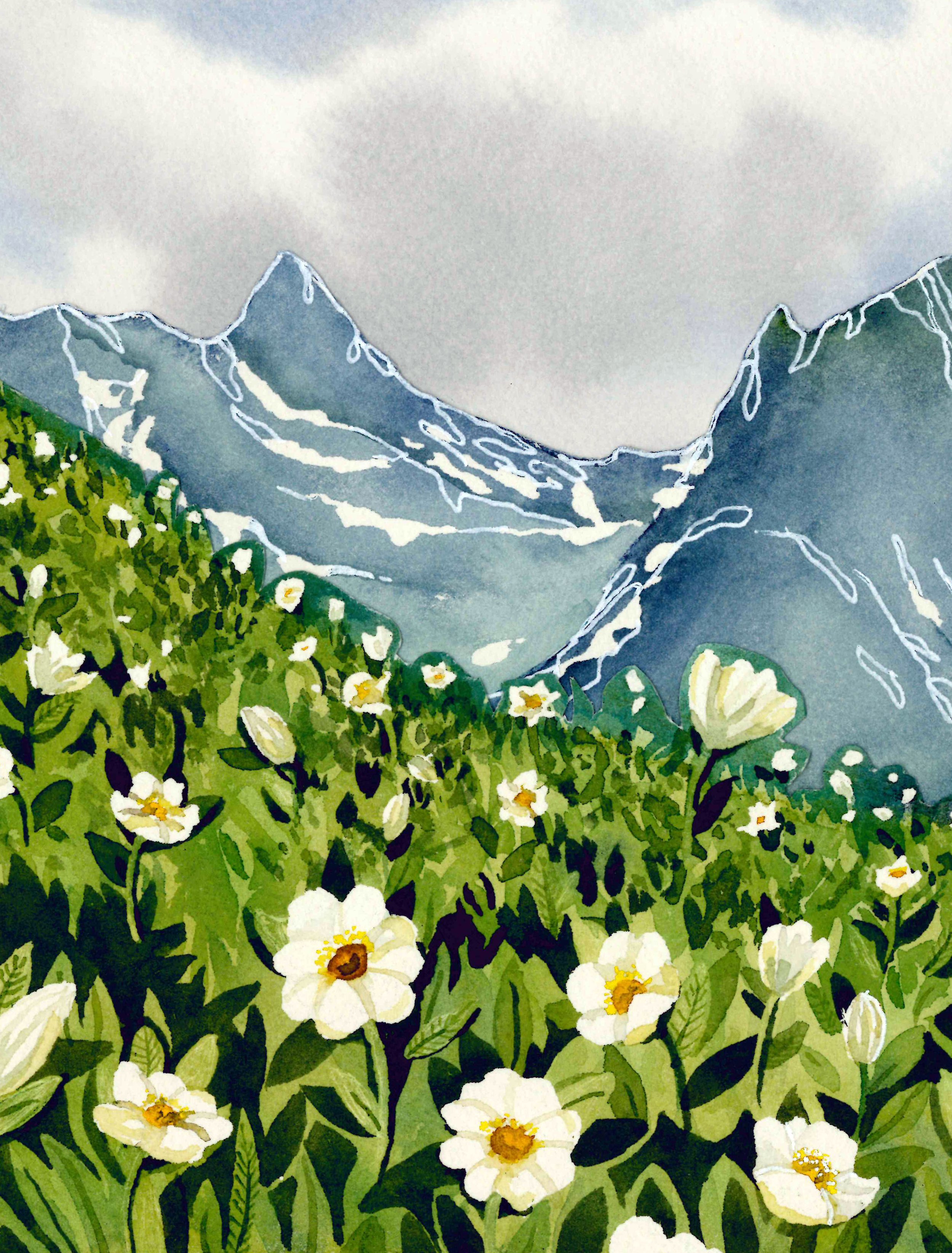 front range_collage.jpg