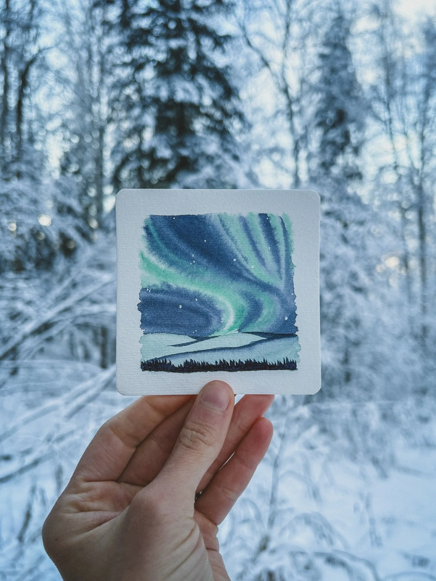 When the sky decides to paint - you have to try to keep up. 

The Sun has been extra expressive lately, nearing the peak of its 11-year cycle. As a result, solar storms have been flaring up, sending charged particles our way and lighting Alaska (and 