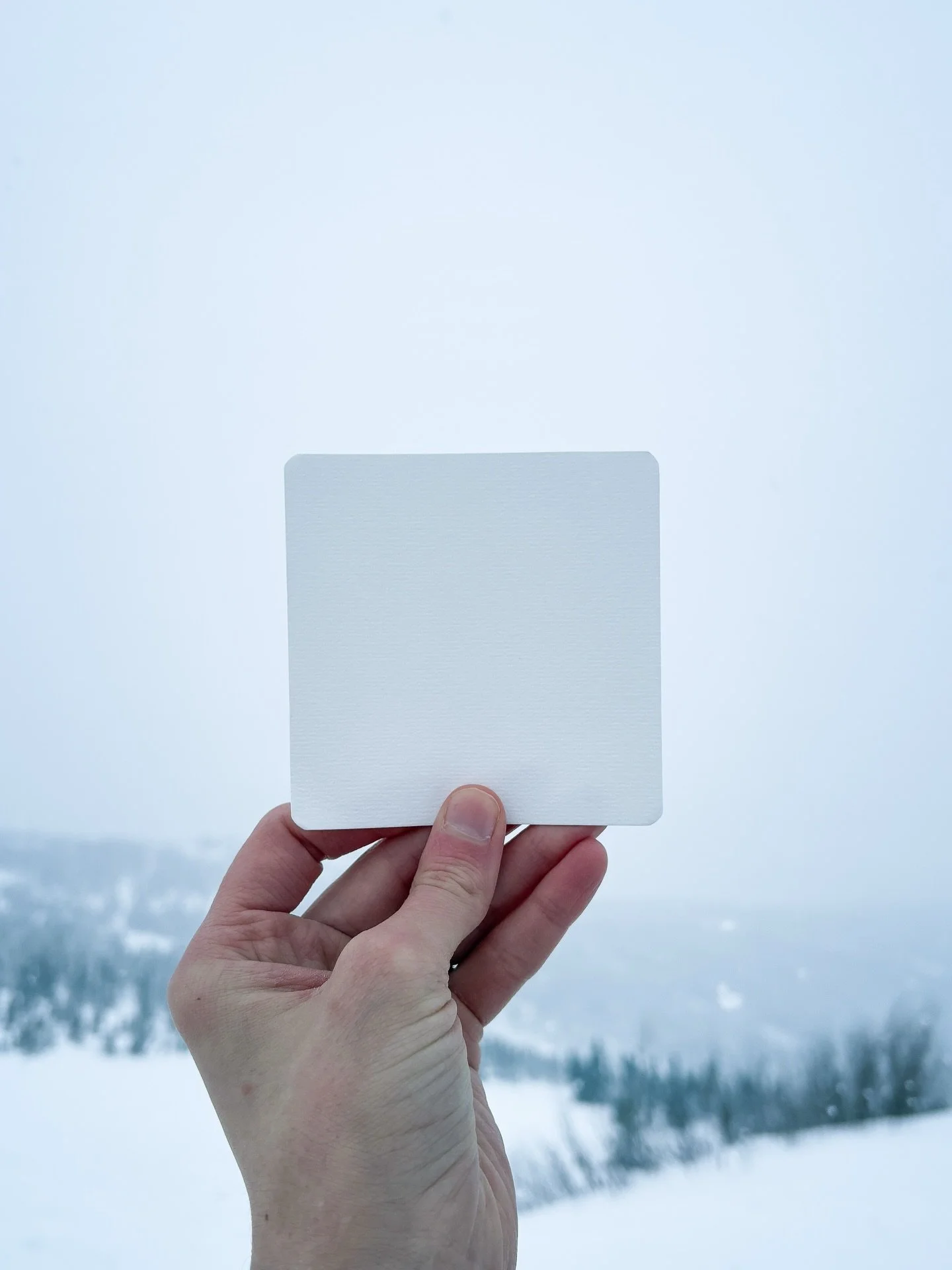 Saved a lot of money on paint this month 👌