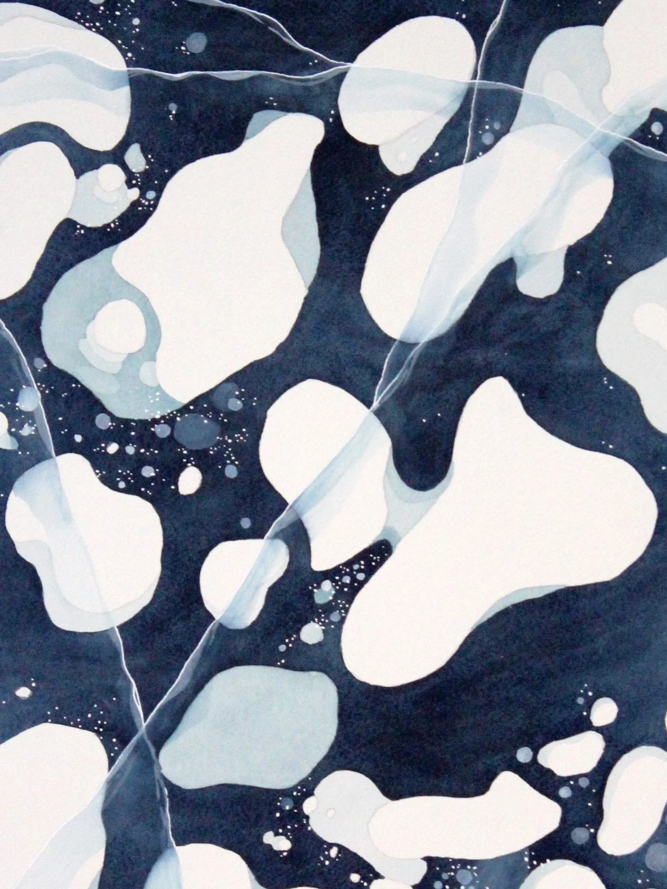 Art! Science! Community! 

All in celebration of the ongoing citizen science program - Fresh Eyes on Ice. Join us (me and lots of your other favorite local artists) tomorrow at the Morris Thompson Center to share in the beauty and observation of Alas