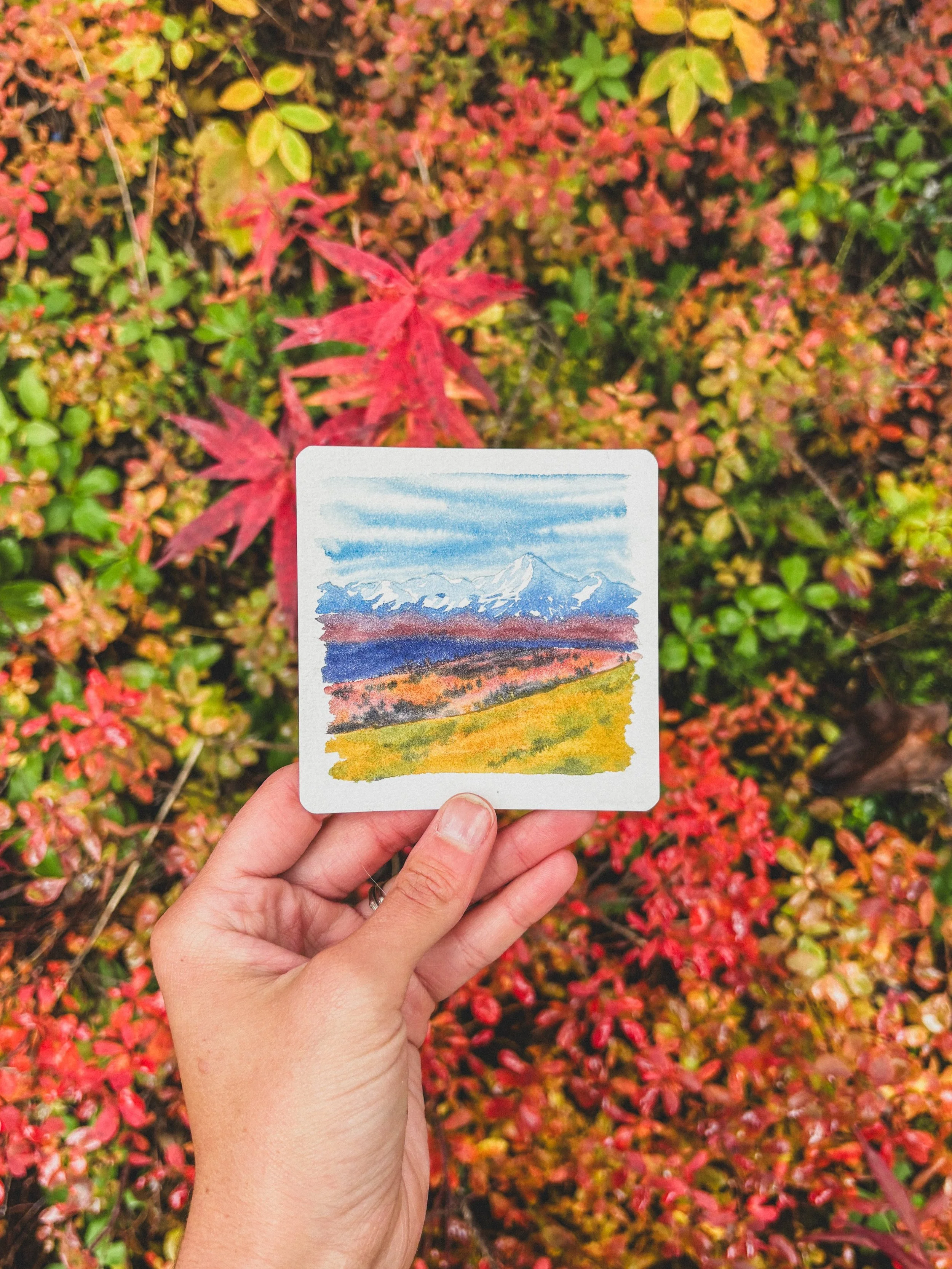 Here for the palette 🍂