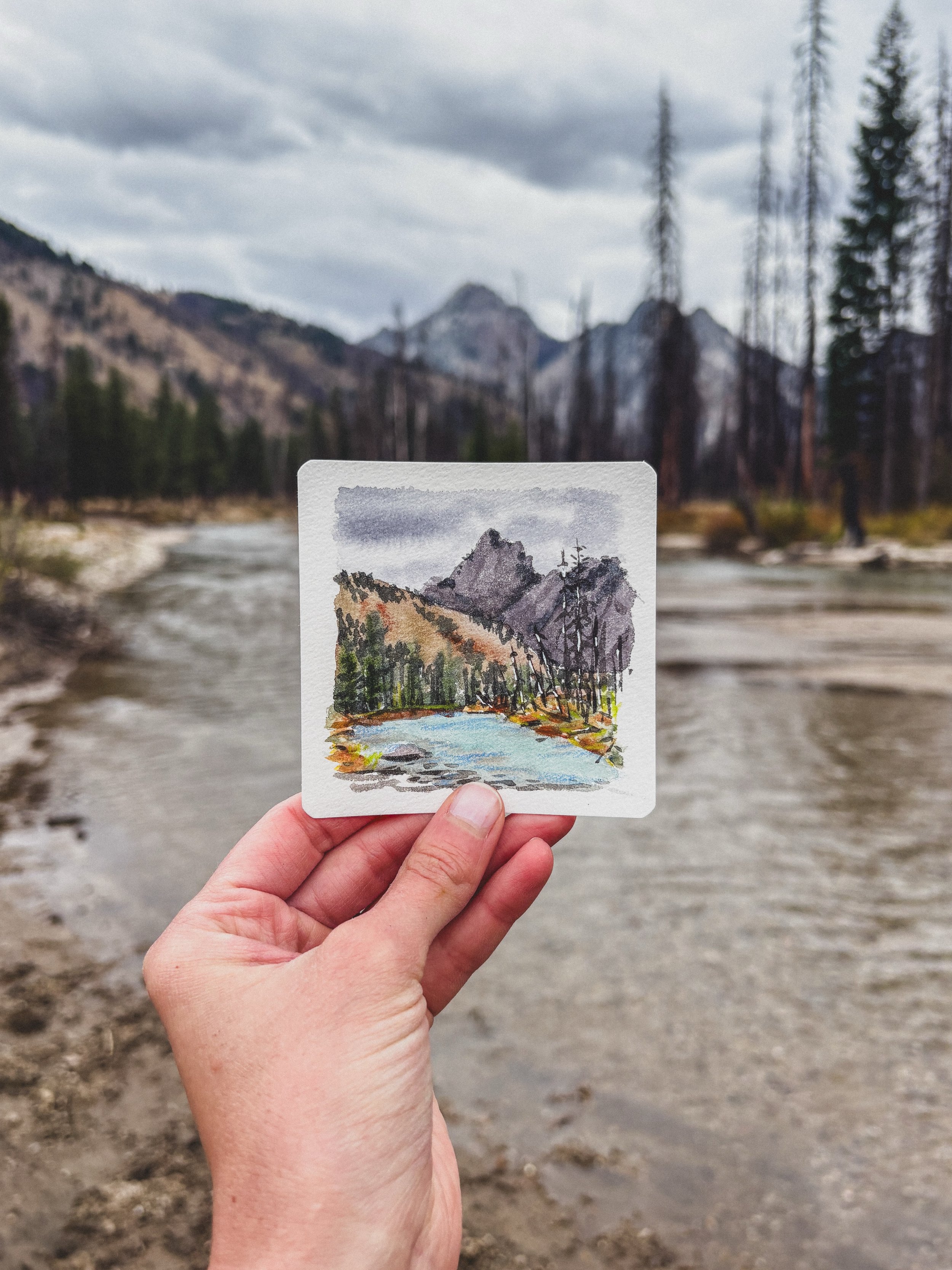 Hiking, hot springing, and horsing around in the Sawtooths!