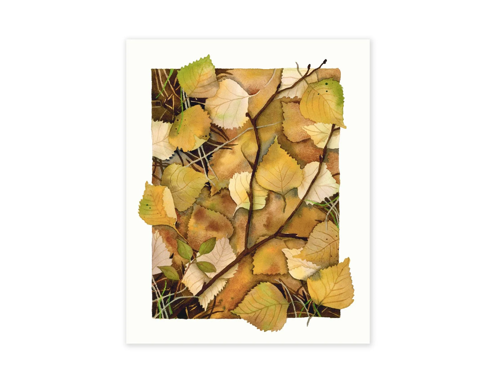 Forest Floor | 8x10" | Original watercolor on paper | 2025