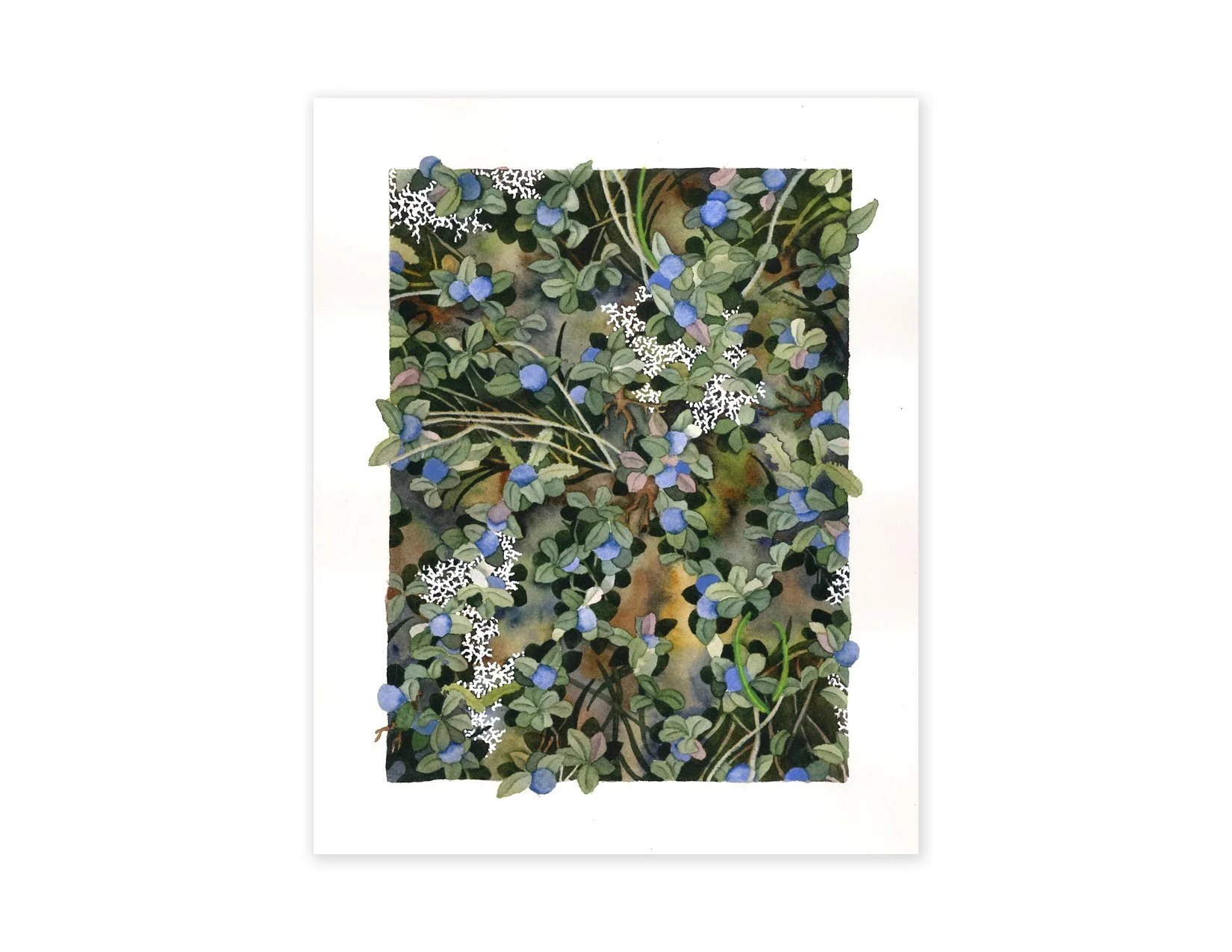 Abundance | 8x10" | Original watercolor on paper | 2025