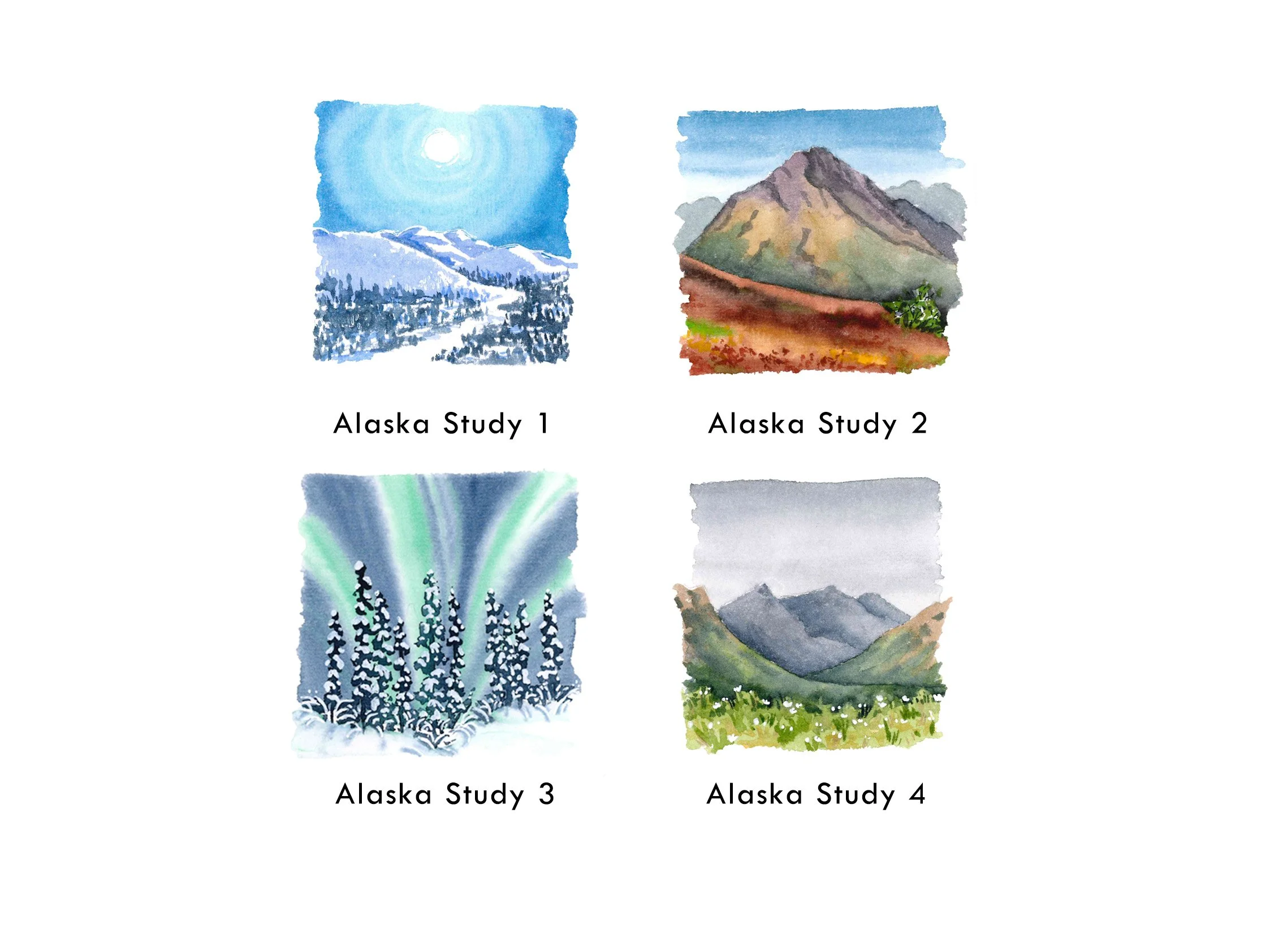 alaska study.jpg