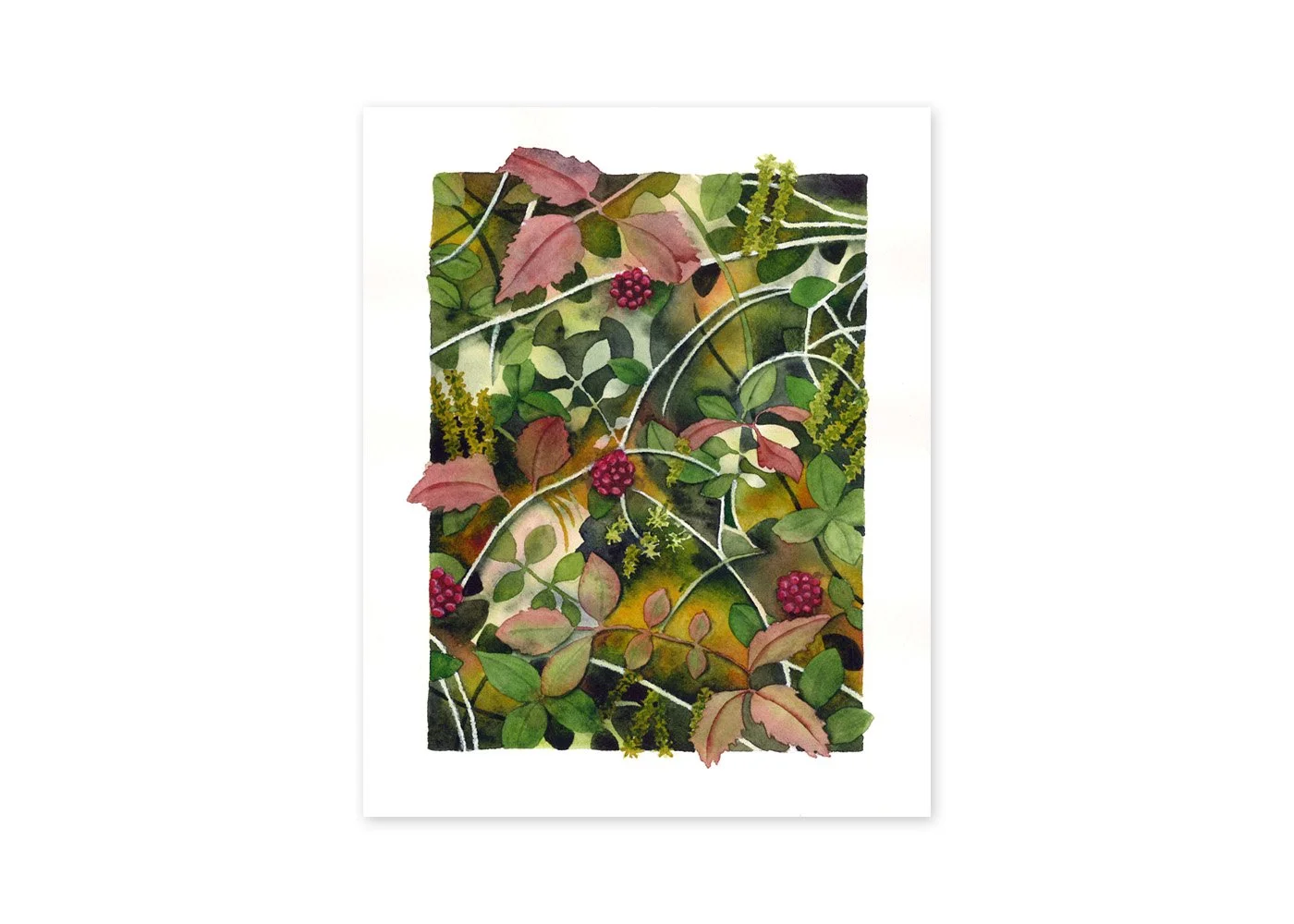 Jewels of the North | 8x10" | Original watercolor on paper | 2025