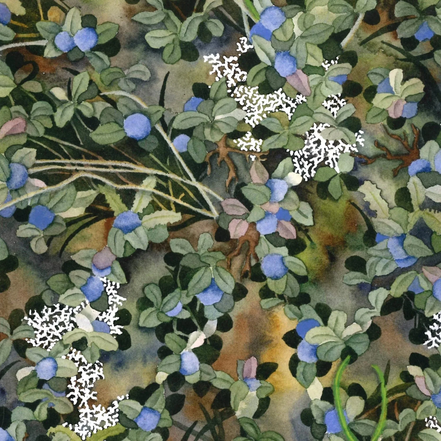 Seasonal Studies (2024, 2025)