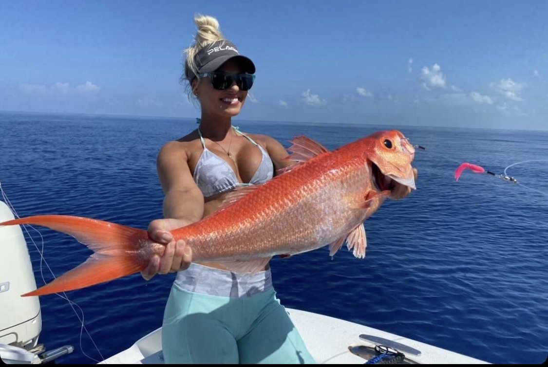 Species Spotlight: Queen Snapper, OffShore