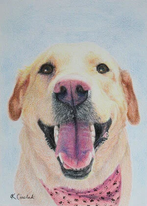 coloured pencil - 5x7
