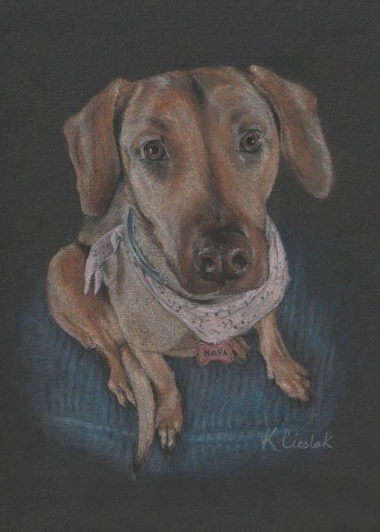 chalk pastel - 5x7