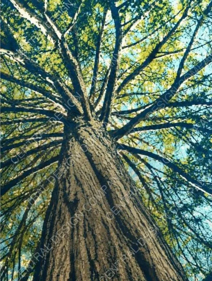 CENTRAL-ART+PRINT-ROOTED-A.jpg