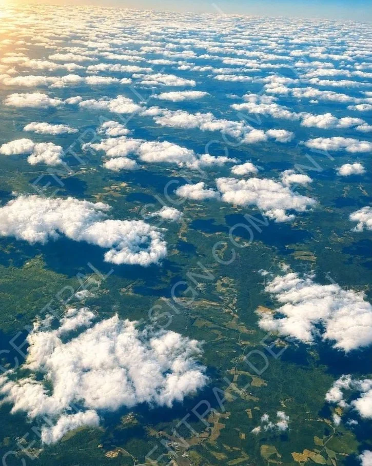 CENTRAL-ART+PRINT-TERRAIN-H.jpg
