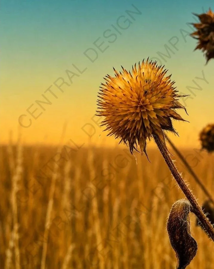 CENTRAL-ART+PRINT-TERRAIN-J.jpg