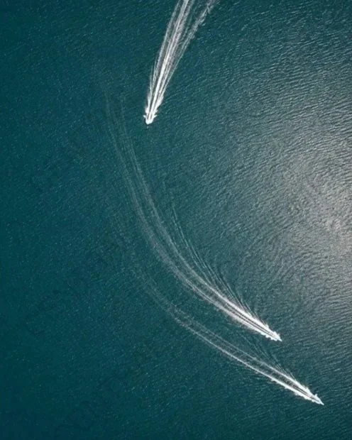 CENTRAL-ART+PRINT-SHORES-F.jpg