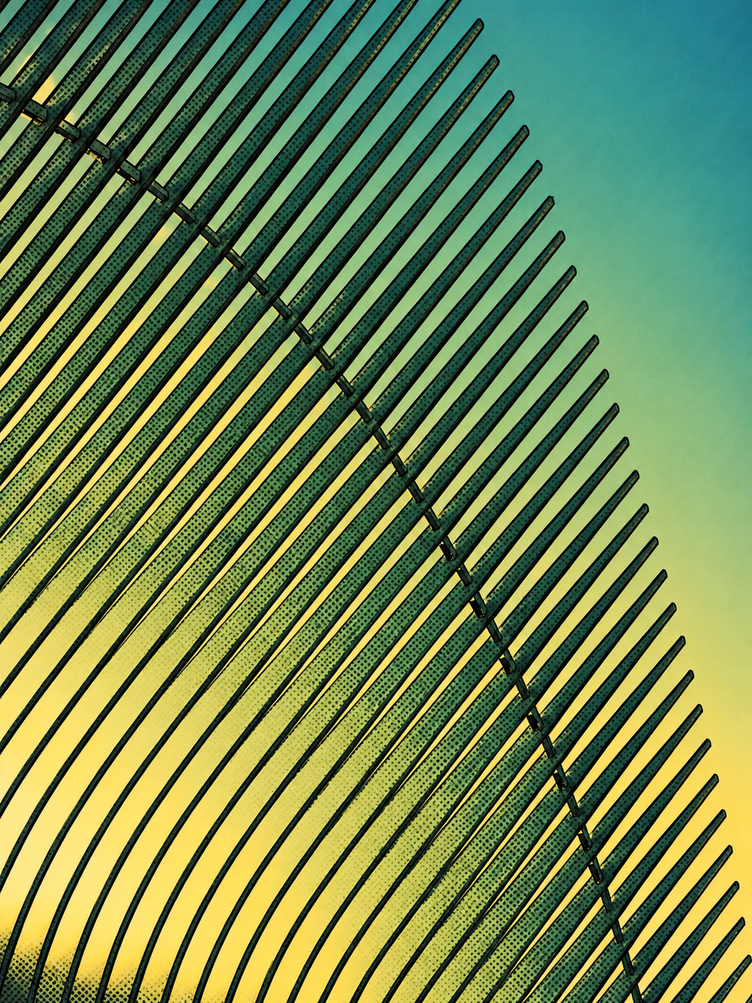 CENTRAL - PRINT - BUILT (9).png