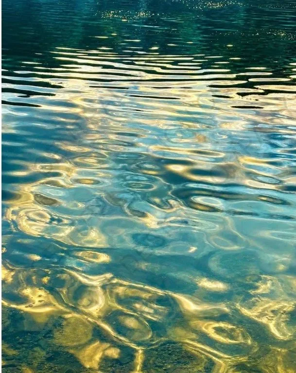 CENTRAL-ART+PRINT-SHORES-I.jpg