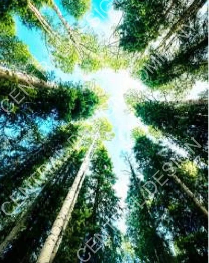 CENTRAL-ART+PRINT-ROOTED-H.jpg
